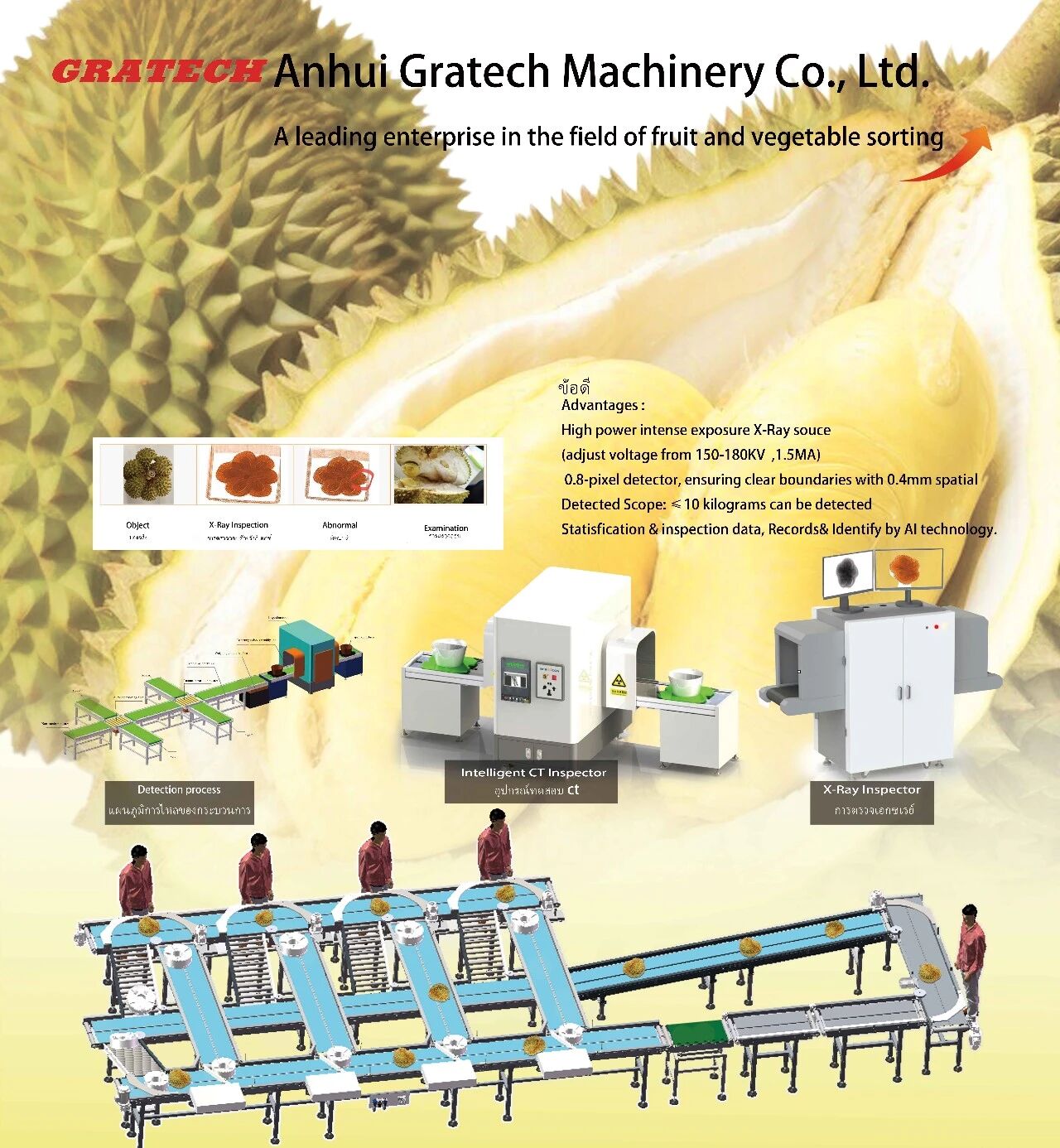 微信图片_2026-03-19_152515_428